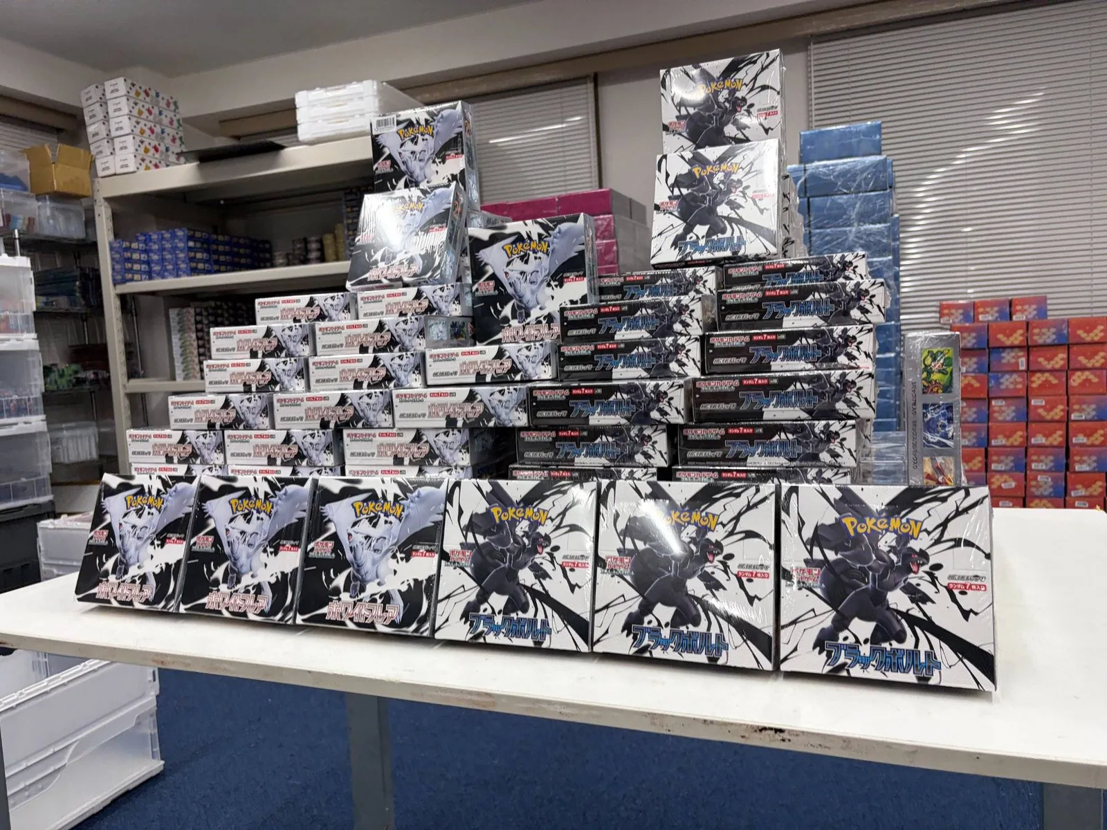 Pokémon TCG boxes with daily updated wholesale pricing